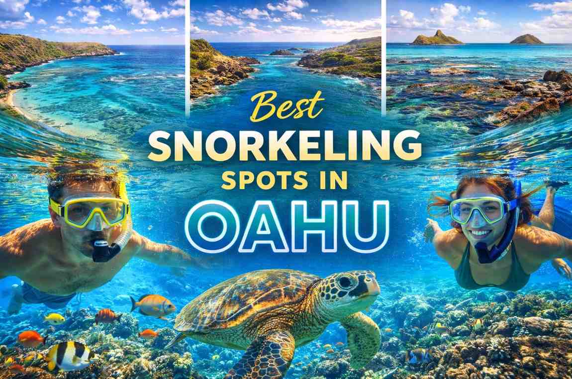 Best Snorkeling Spots in Oahu You Shouldn’t Miss