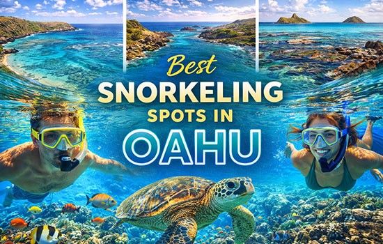 Best Snorkeling Spots in Oahu You Shouldn’t Miss