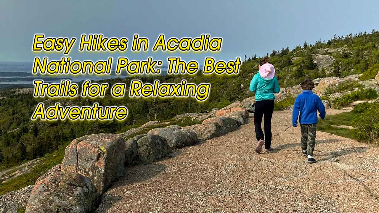 Best Easy Hikes in Acadia National Park Guide