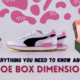 Shoe Box Dimensions